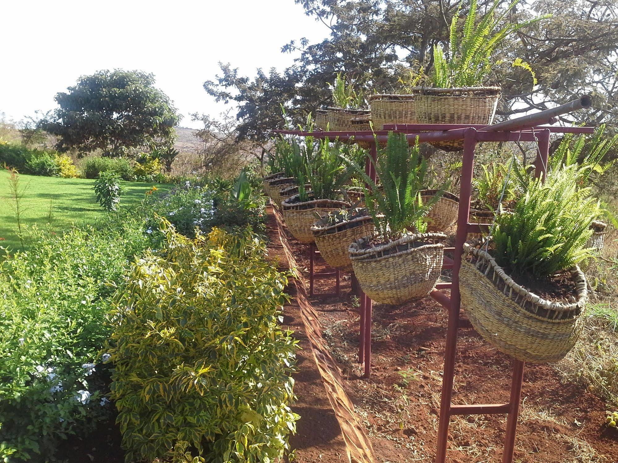 Acacia Farm Lodge Ngorongoro Exterior photo